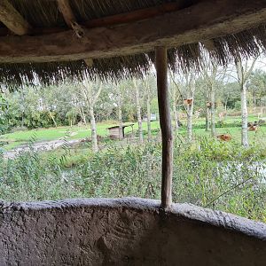 Ngorongo - View from viewing hut