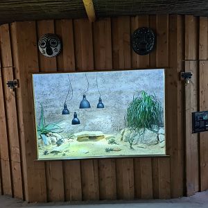 Ngorongo - Egyptian tortoise terrarium in Giraffe barn