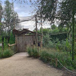 Ngorongo - Walkway towards aviary