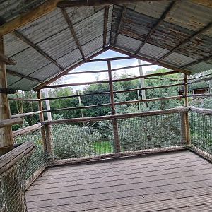 Ngorongo - Aviary viewing point