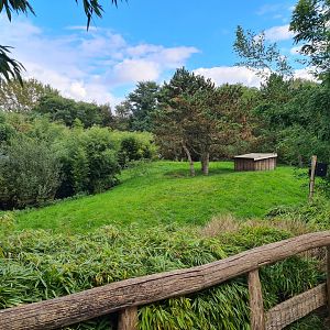 Ngorongo - Cheetah habitat