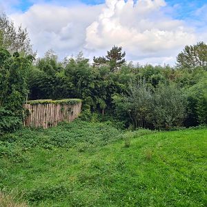 Ngorongo - Cheetah habitat
