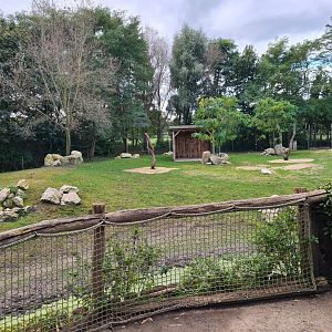 Ngorongo - Addra gazelle and Common ostrich habitat