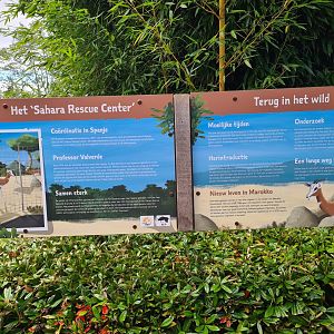 Ngorongo - Sahara rescue centre signage
