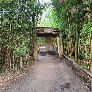 Ngorongo - Cheetah viewing point