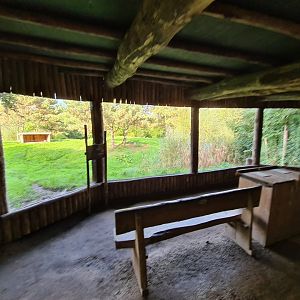 Ngorongo - Cheetah viewing hut