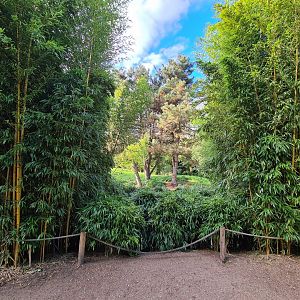 Ngorongo - Cheetah viewing point