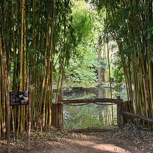 Ngorongo - Pygmy hippo viewing point