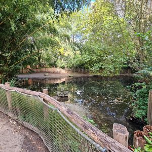 Ngorongo - Pygmy hippo habitat