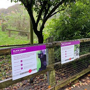 Black lemur signage, ZSL Whipsnade, UK