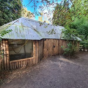 Madidi - Spider monkey indoor habitat