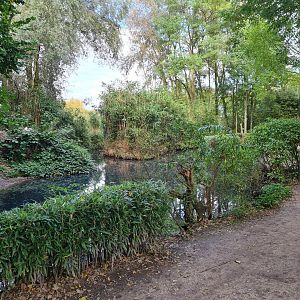 Madidi - Bolivian squirrel monkey and Dalmatian pelican habitat