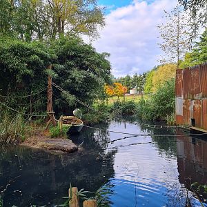 Madidi - Bolivian squirrel monkey and Dalmatian pelican enclosure
