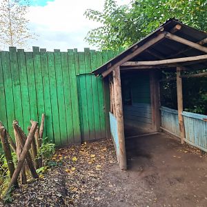 Madidi - Walk toward Bolivian squirrel monkey indoor habitat