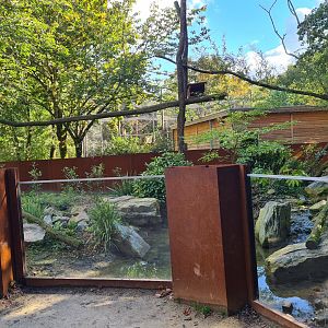 Madidi - Crab-eating raccoon habitat