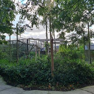 Madidi - Split pathway