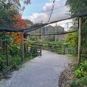Madidi - Flamingo aviary