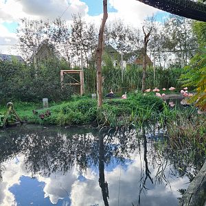 Madidi - Flamingo aviary