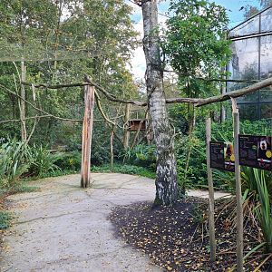 Madidi - South American walkthrough