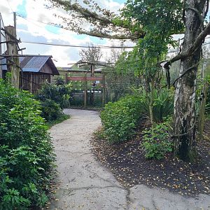 Madidi - South American walkthrough