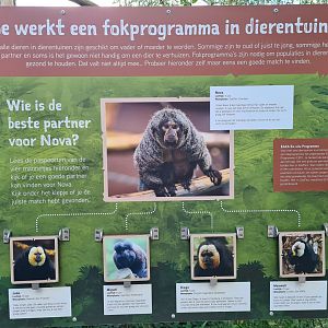 Madidi - Breeding programme signage