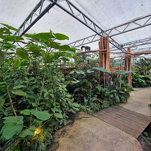 Madidi - Walkthrough section of greenhouse