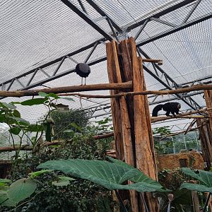 Madidi - Walkthrough section of greenhouse