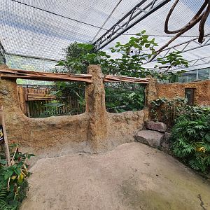 Madidi - Spectacled caiman viewing point