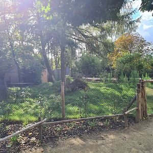 Madidi - Bush dog habitat