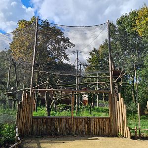 Madidi - Black-and-gold howler monkey aviary