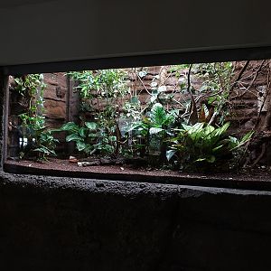 Exotenhaus: Crake and hanging parrot enclosure.