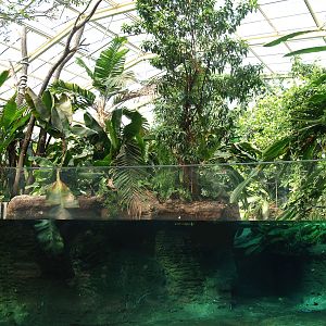 Smaller part of the Boto tank (Now fish and Manatee tank), 2007-04-01