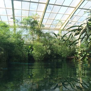 View above the Boto tank (Now fish and Manatee tank), 2007-04-01