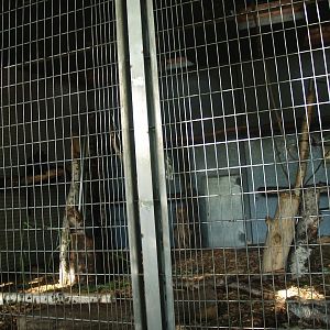 Äquatorium - Primate outdoor cage (Now no longer visible), 2008-08-06
