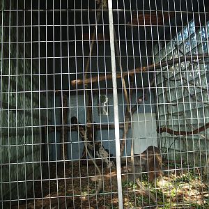 Äquatorium - Primate outdoor cage (Now no longer visible), 2008-08-06