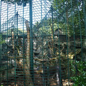 Äquatorium - Mandrill outdoor cage (Now no longer visible), 2008-08-06