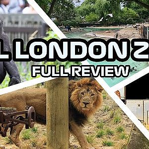 Review of the ZSL London Zoo