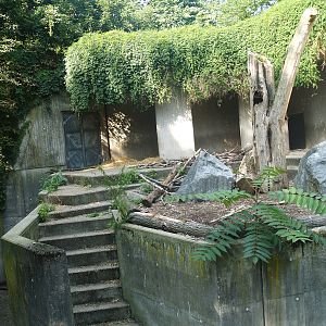 Old concrete Kodiak bear exhibit (Now replaced by modern bear exhibit), 2008-08-06