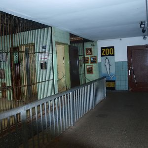 Zoo museum in old Mandrill indoor cages (now gone), 2014-10-19