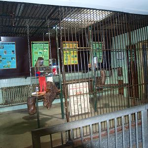 Zoo museum in old Mandrill indoor cages (now gone), 2014-10-19