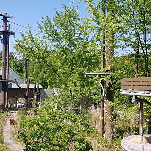 Toronto Zoo Orangutan Outdoor Habitat