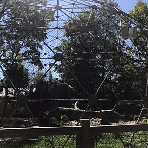 Geodome area for the dholes