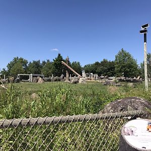 Side viewing for the African Elephant exhibit