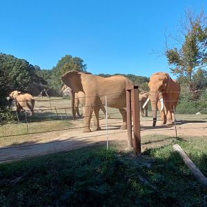 Right after C'sar hit one of the girls