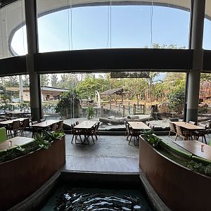 Restaurant + Plains Zebra Exhibit - Royal Safari Garden Resort