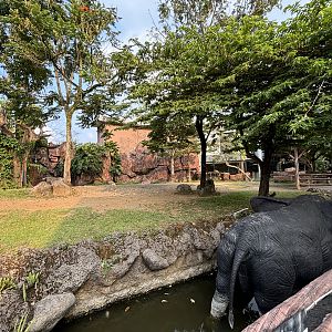 Plains Zebra Exhibit - Royal Safari Garden Resort