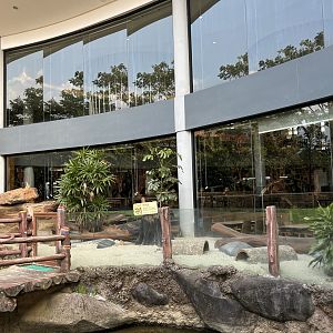 Meerkat Exhibit - Royal Safari Garden Resort