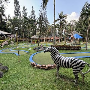 Mini Golf - Royal Safari Garden Resort