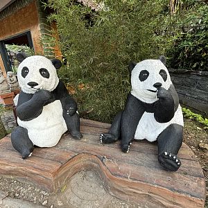 Giant Panda Statues - Royal Safari Garden Resort