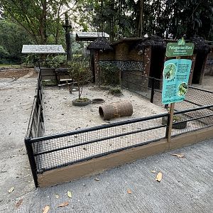 Mara Exhibit - Royal Safari Garden Resort